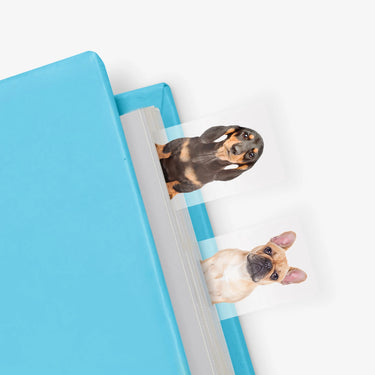 Mustard Dog in a Book Sayfa İşaretçi