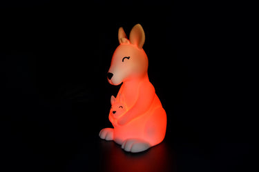 Dhink Anne Bebek Kangru
 Gece Lambası