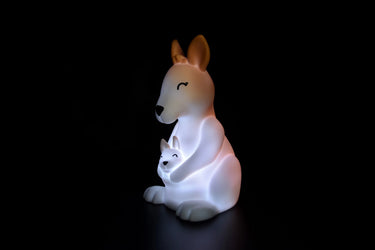 Dhink Anne Bebek Kangru
 Gece Lambası