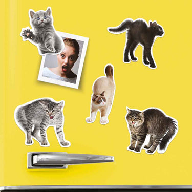 Mustard Sinirli Kediler Magnet