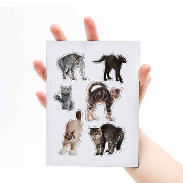 Mustard Sinirli Kediler Magnet